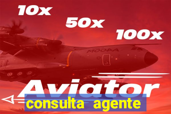 consulta agente autuador sp